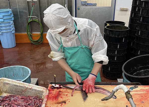 senior_4135_SbBvjOh0_main