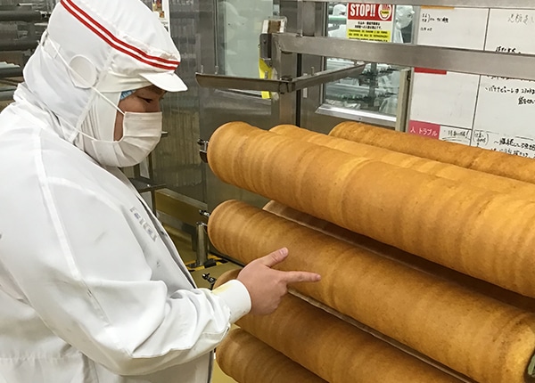 senior_4333_M2v4nq4I_main