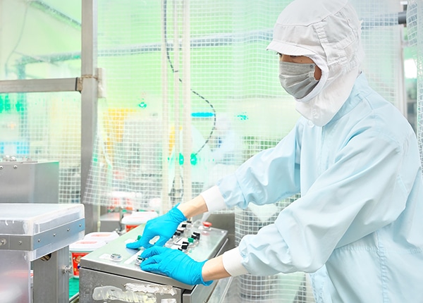 senior_4508_cWXC9adt_main