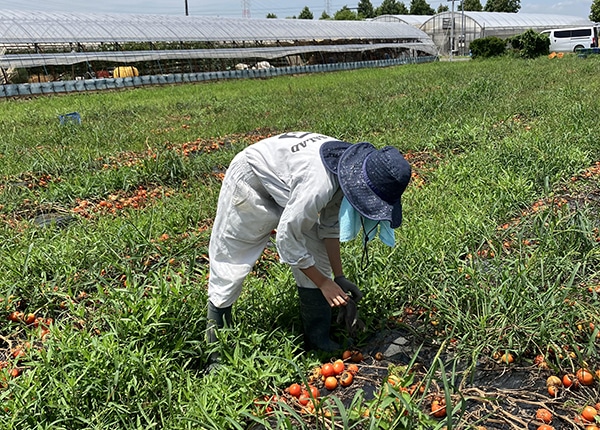 senior_4716_qcG0ErwN_gallery_2