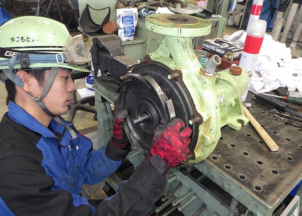 senior_4806_R5rulMM9_main