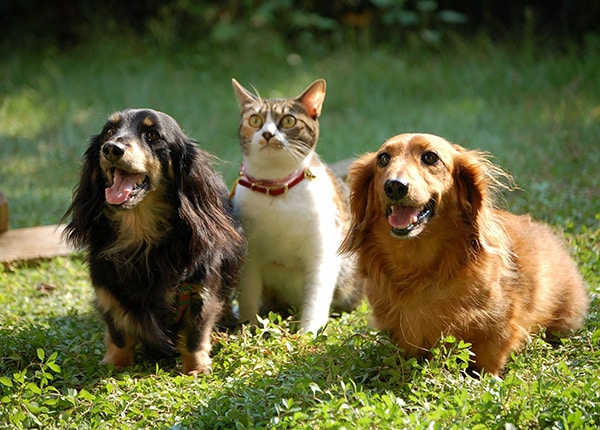 source_4204_profile_main