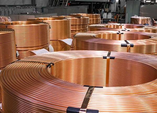 source_4294_business_main