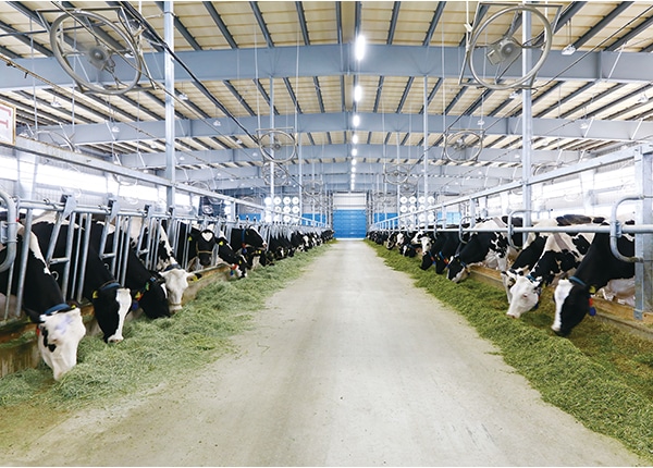 source_4511_business_main