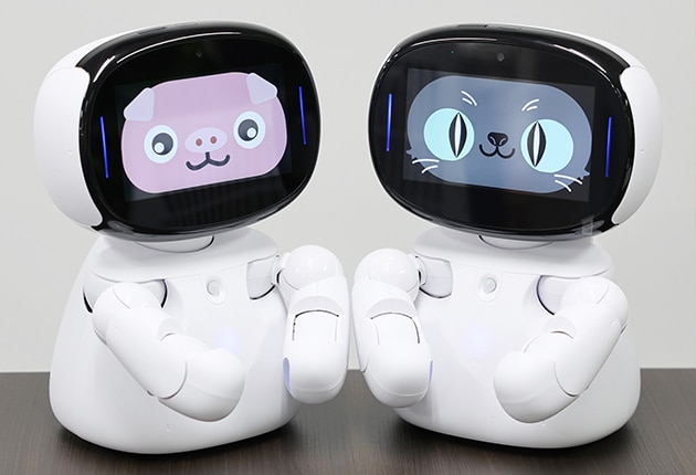 1採用1_ヒムボット